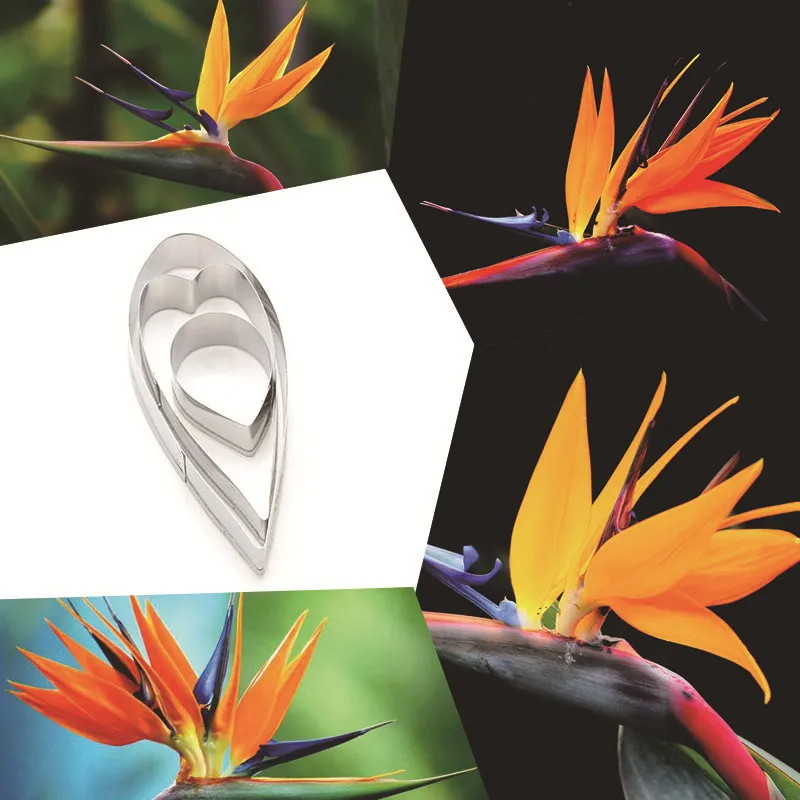 Stainless Steel Bird of Paradise Flower Sugar Fondant Cake Mold DIY Baking Tool Metal Petal Cutter Set Kitchen Supplies