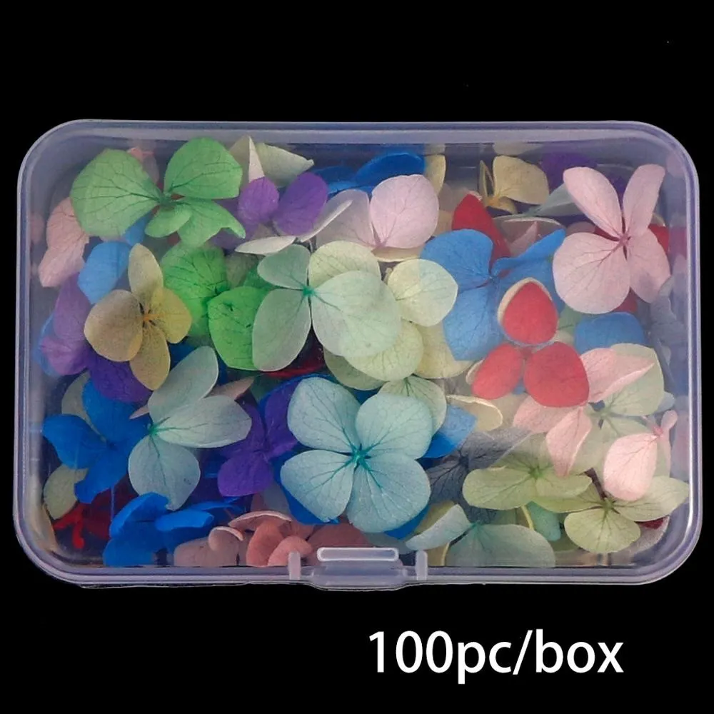 Natuurlijke Gemengde Kleur Nagel Gedroogde Bloemen Geperste Echte Bloemen Voor Nail Art Manicure DIY Ambachtelijke Bloemdecoratie