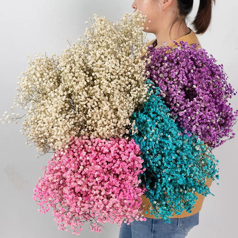 Natural Preserved Baby's Breath Dried Flowers Bouquet Real Floral Arrangement For Home Decor Festival Party Gift