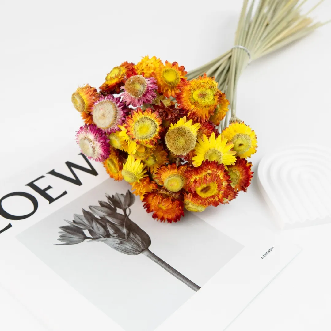 Bouquet di Fiori Secchi Naturali di Elicrisio Margherite Colorate per Decorazione d'Interni Composizione Artigianale Floreale Fai da Te
