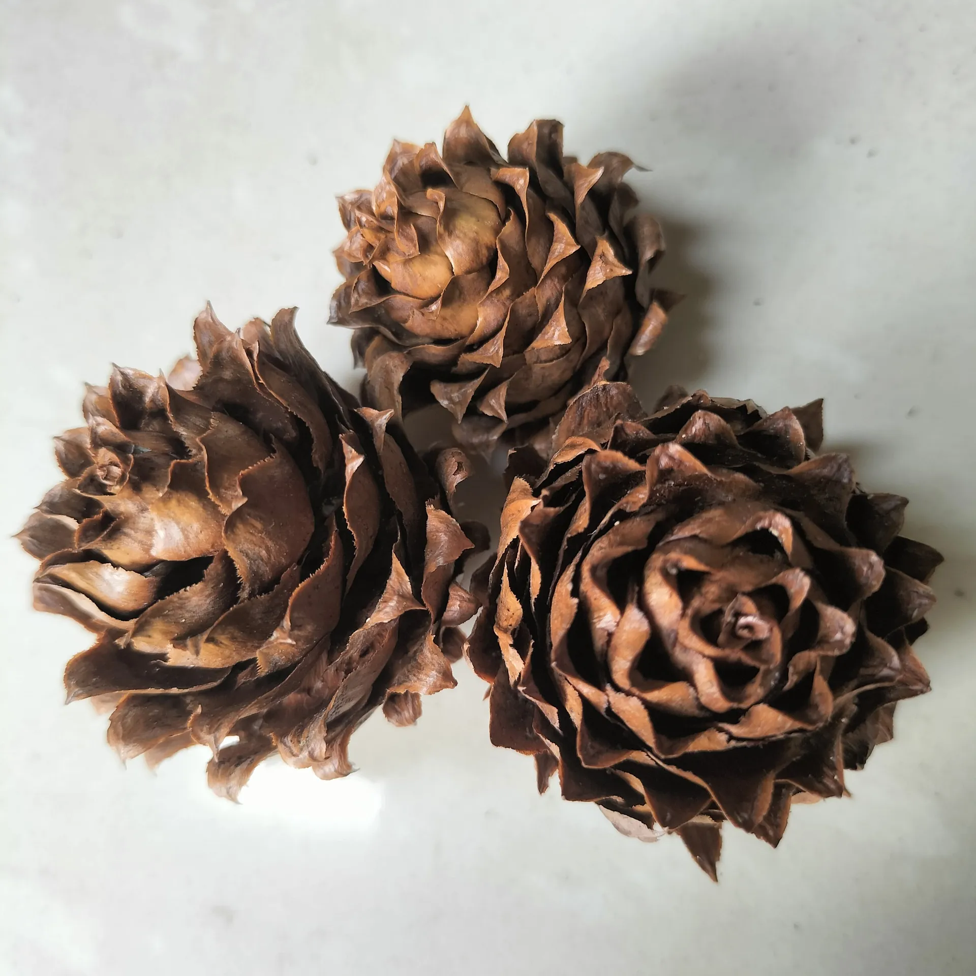 Natuurlijke Dennenappels Kerstboom Ornamenten Natuurlijk Hout Rustieke Dennenappels Voor Vakantie Woondecoratie Ambacht DIY