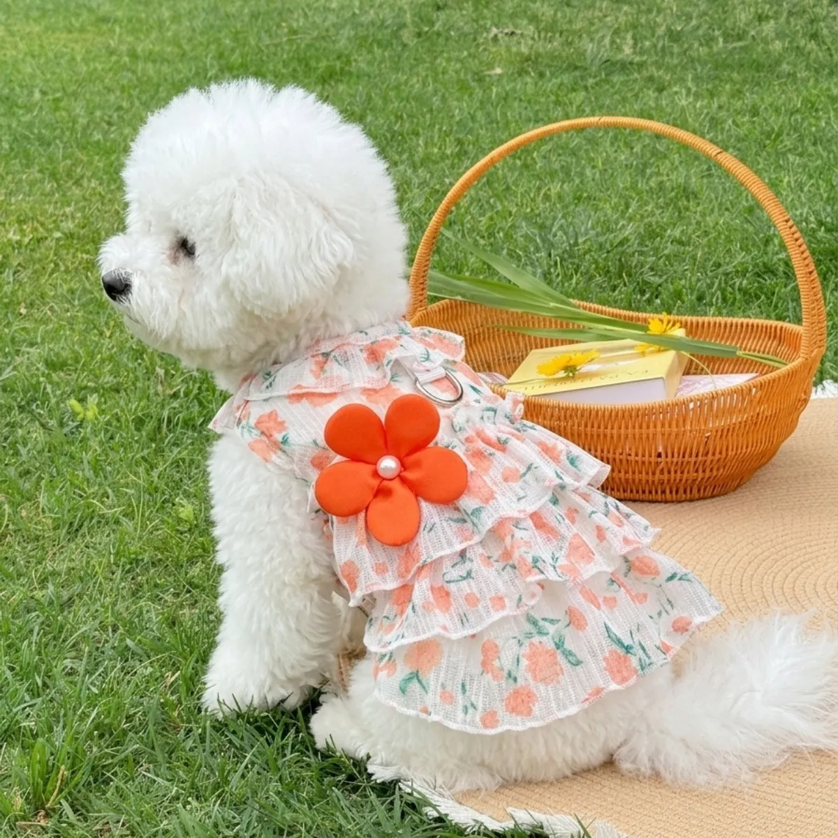 Kleiner Hund Prinzessin Blumen Kleid Sommer Dünnes Welpen Süß Plissee Rock Haustier Bekleidung Rüschen Süßes Outfit