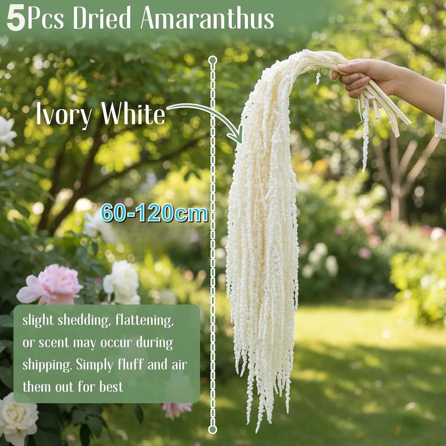 Natural Dried Amaranthus Flowers Preserved Tassels Hanging Plants For Wedding Party Home Decor Festival Floral Arrangement
