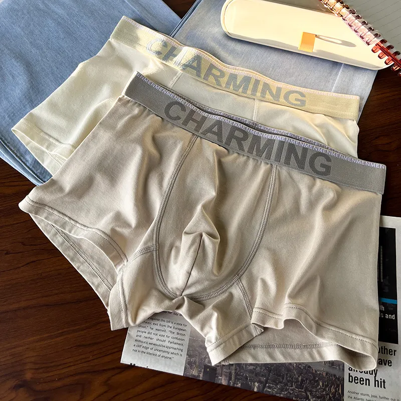 Men's Breathable Modal Boxers Comfortable Elastic Letter Printed Waistband Trunks Daily Base Layer Underwear Soft Underpant For Male
