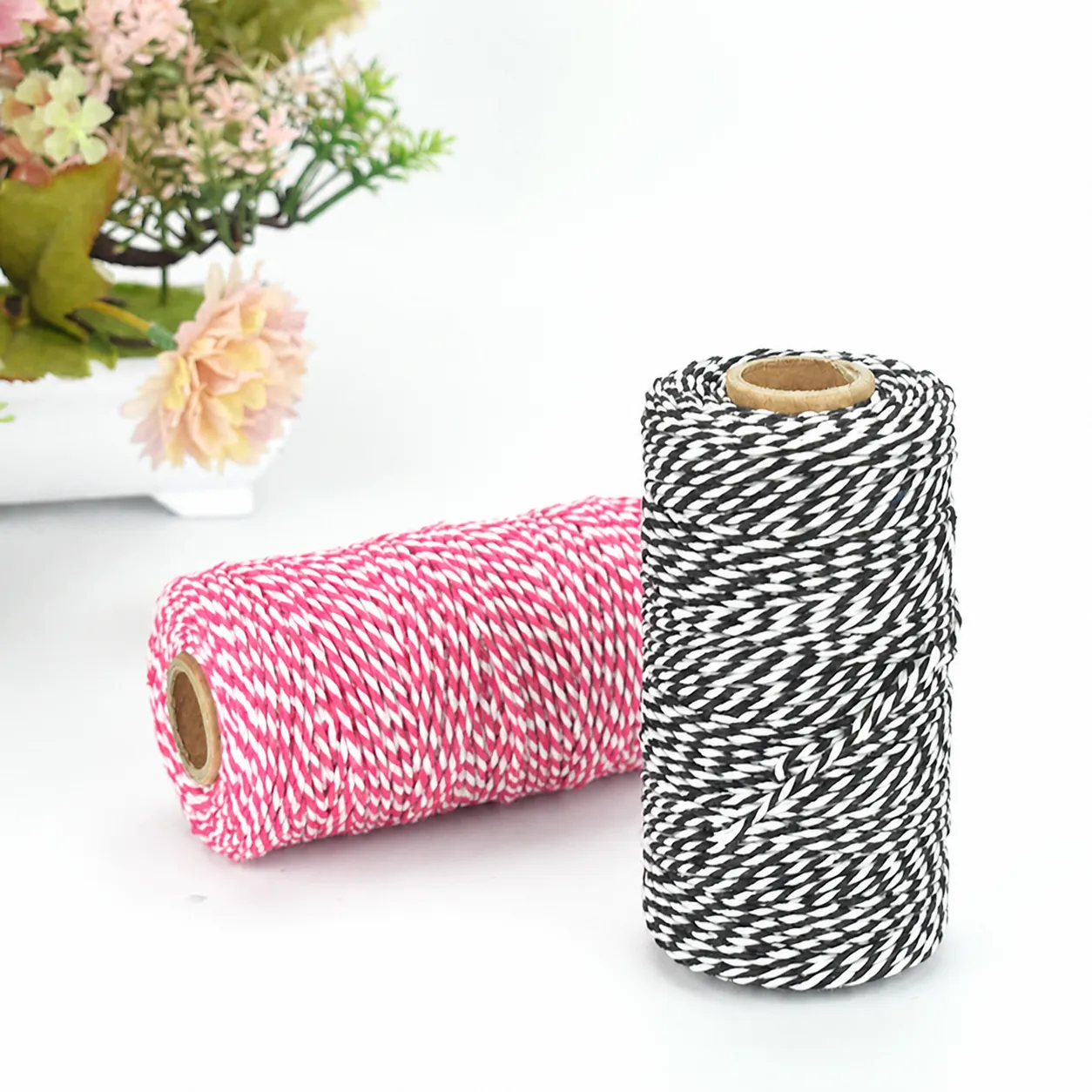 2mm Two Strand Twisted Cotton Cord Colorful Twine String For DIY Craft Gift Wrapping Home Decor Binding