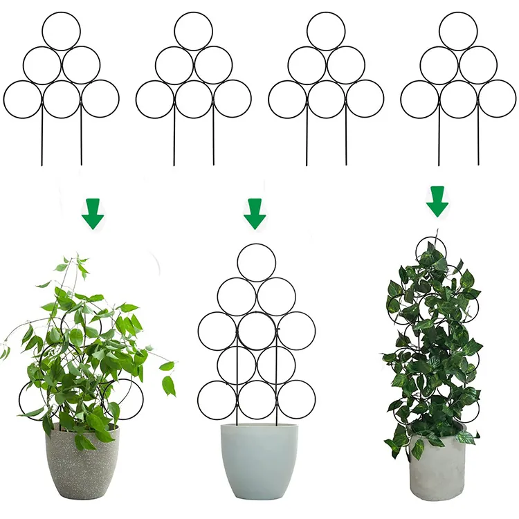 Geometric Round Plant Trellis Iron Metal Climbing Support For Potted Plants Garden Modular Durable Flower Bracket