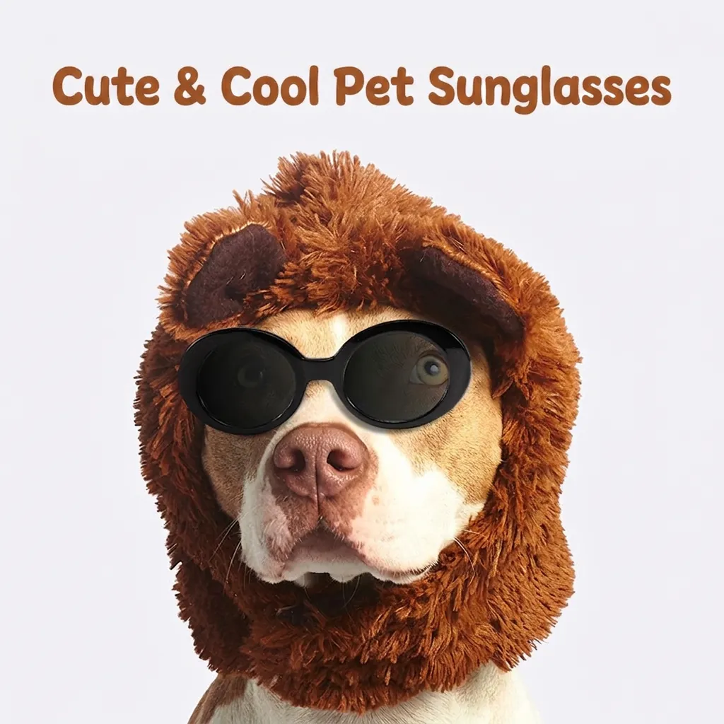 Lunettes De Soleil Pour Animaux De Compagnie Rétro Ovales Chat Cadre PC Lentille AC Pour Chiot Chien Accessoires Photo