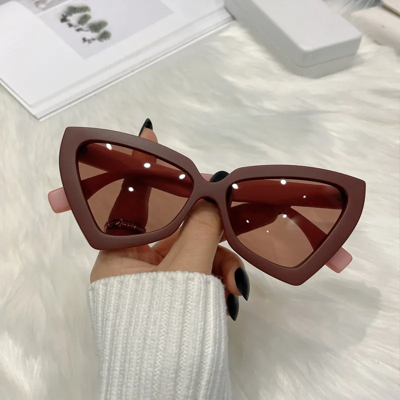 Cat Eye Sunglasses Triangle Geometric PC Frame UV400 Protection Retro Fashion Vintage Eyewear For Women
