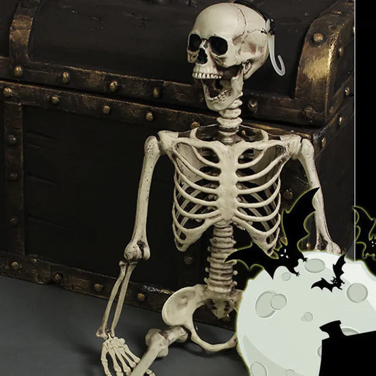 Realistic Full Body Human Skeleton Model With Movable Joints For Halloween Haunted House Party Spooky Plastic Decor Prop