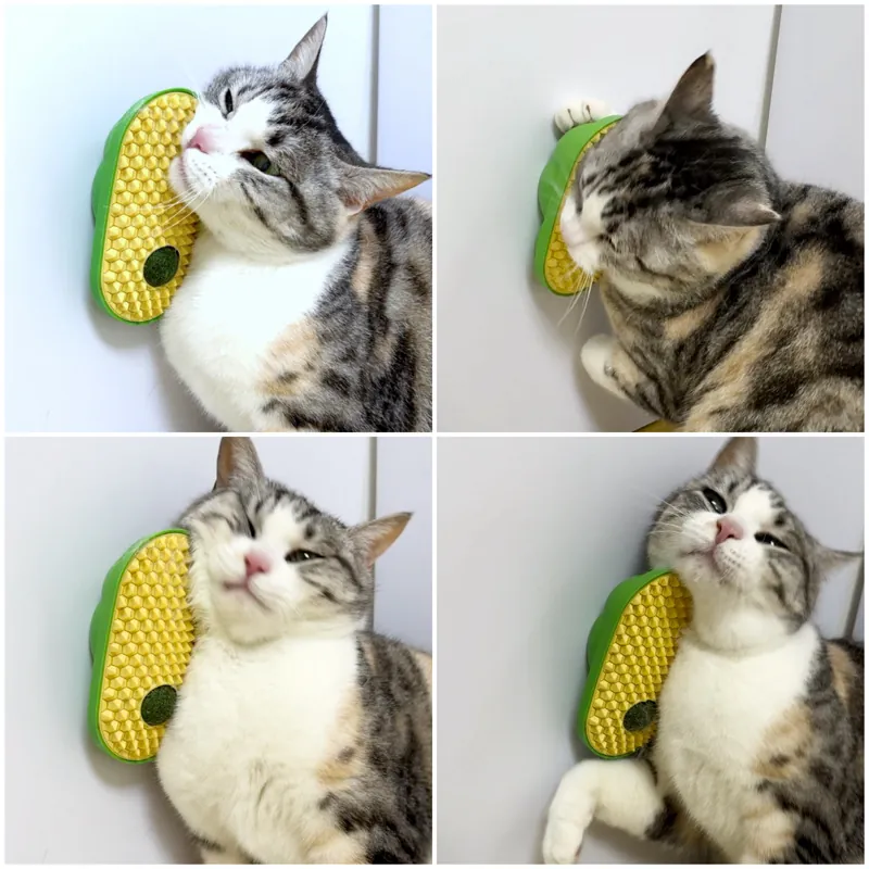 Cat Self Groomer Wall Mounted Massage Comb With Catnip Ball Avocado Shape Pet Hair Removal Brush For Indoor Cats
