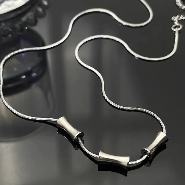 Halskette Mit Anhänger Titanstahl Schlangenknochenkette Zylindrische Taillenperlen Minimalistischer Trendschmuck Für Damen Herren