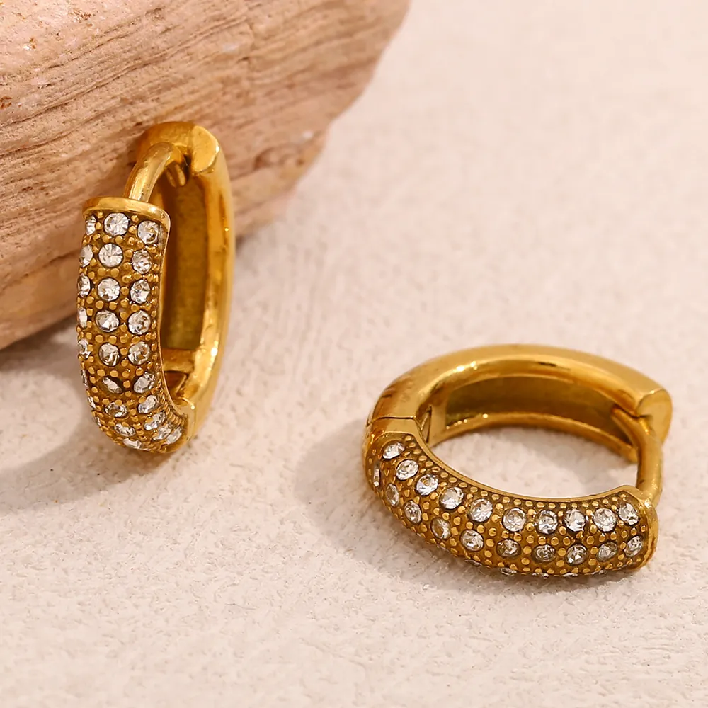 Hoop Earrings Pavé Zircon 18K Gold Plated Stainless Steel Minimalist Small Round Geometric Jewelry For Women