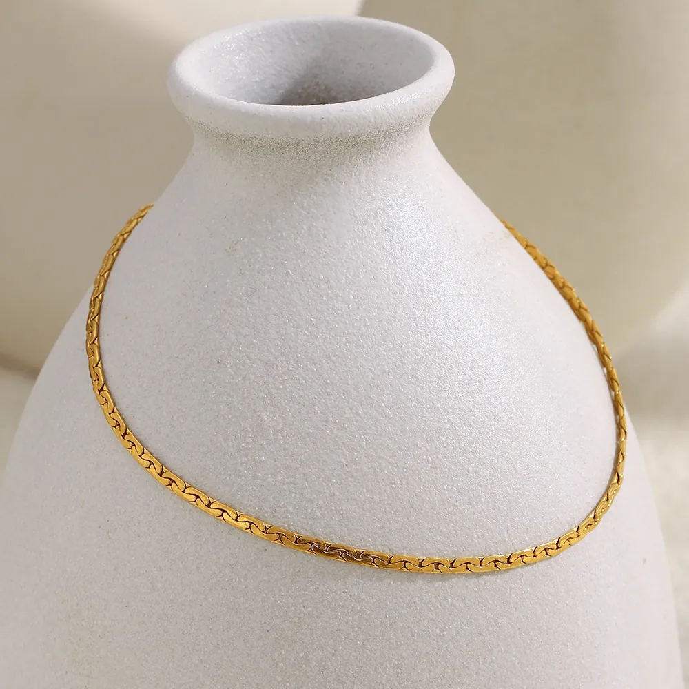 Cavigliera Minimalista In Acciaio Inossidabile Placcato Oro 18K Catena A Serpente Piatta Per Donna Stile Hip Hop