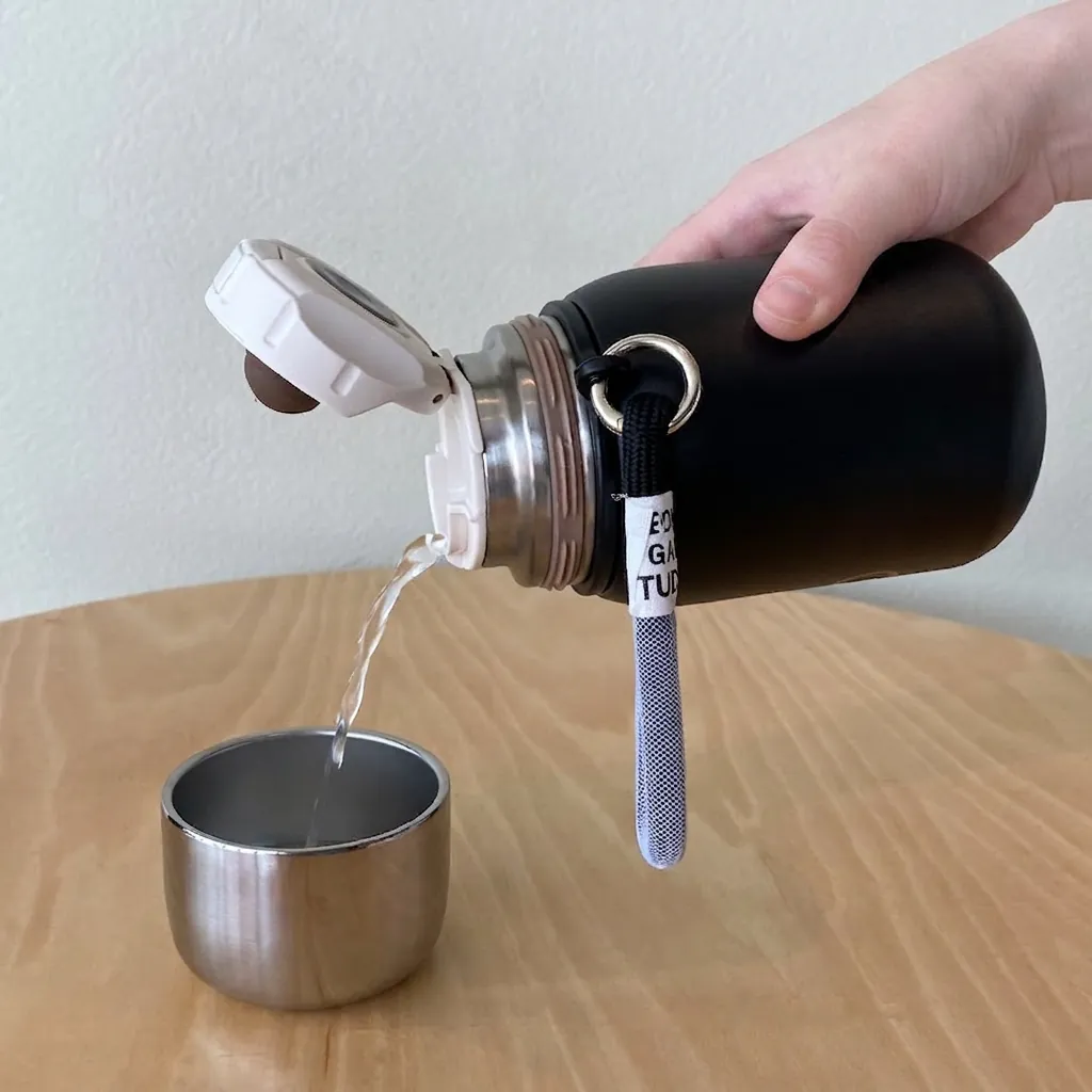 Vacuum Insulated Water Bottle 316 Stainless Steel Thermos With Tea Infuser Portable Carry Strap Pop Up Lid Leakproof Modern