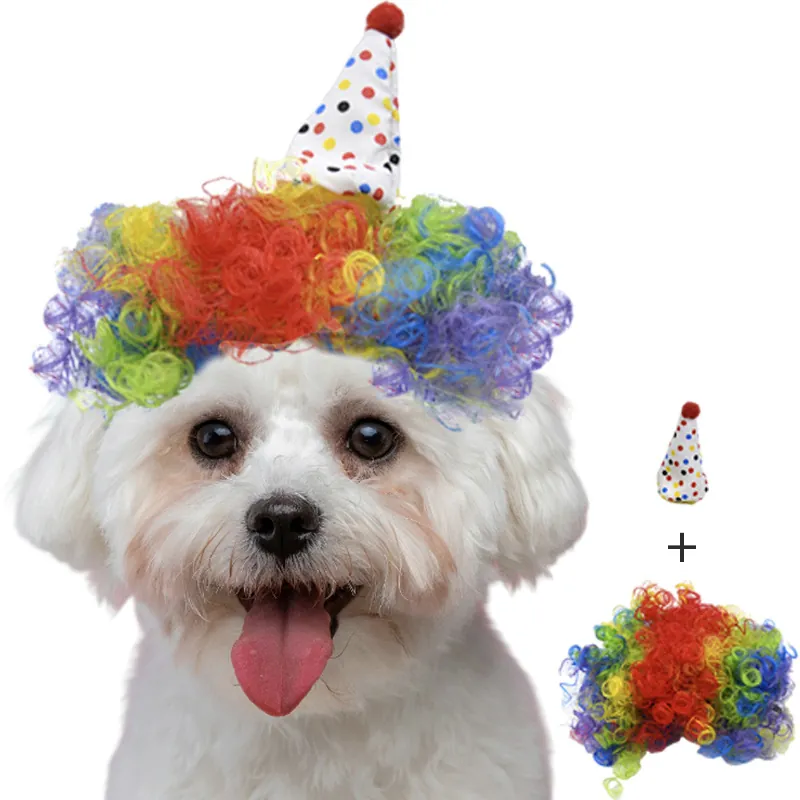 Set Parrucca E Cappello Da Pagliaccio Per Animali Domestici Parrucca Afro Ricci Con Cappello Da Festa A Pois Per Cani Gatti Halloween