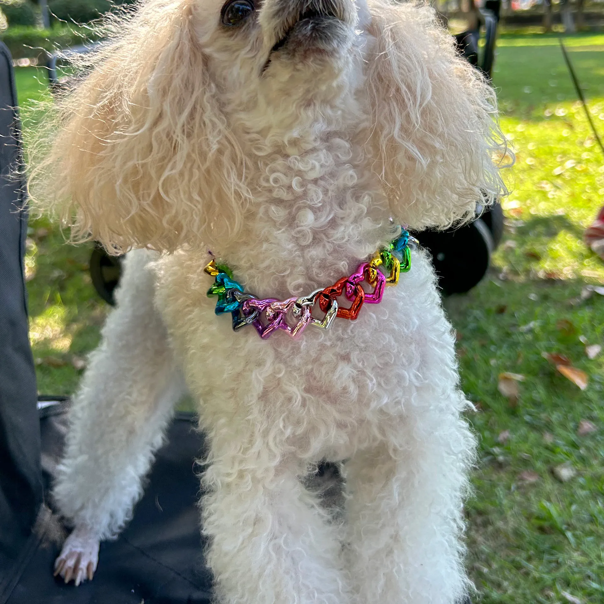 Pet Necklace Heart Chain Adjustable Hip Hop Puppy Kitten Jewelry Plastic Metallic Finish Decorative