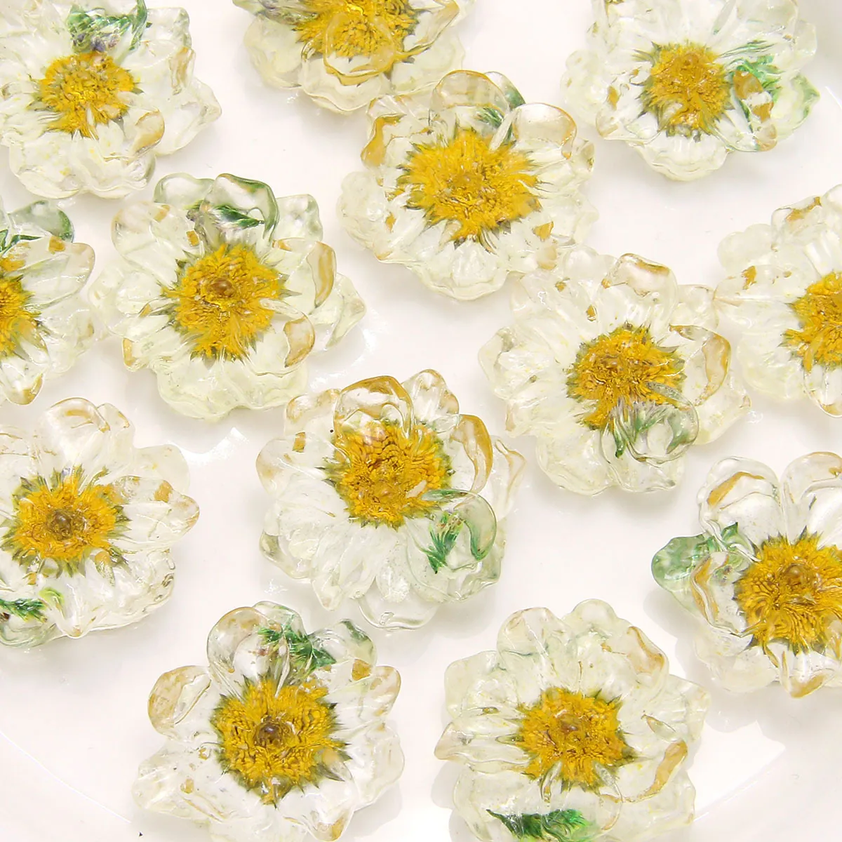 Flower Charms Resin Transparent Real Dried Daisy For DIY Jewelry Making Earring Hair Clips Phone Case Decoration Handmade