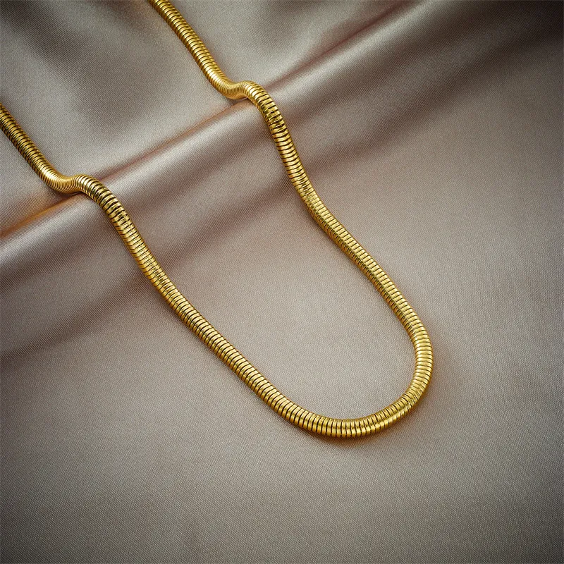 Titanium Steel 18K Gold Plated Snake Bone Chain Necklace For Women Minimalist Fashion Geometric Choker Versatile Jewelry Gift