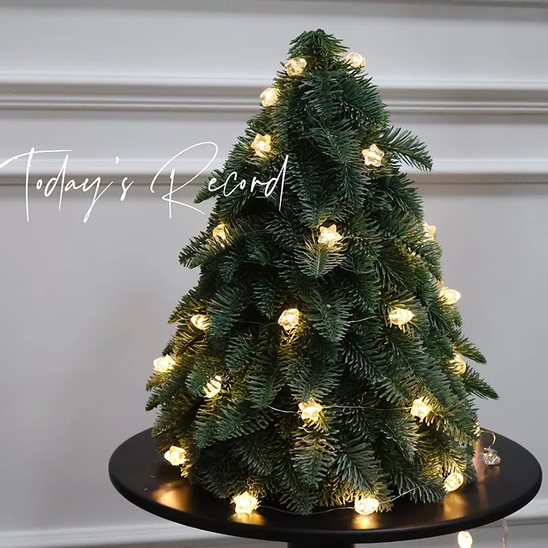 Star LED String Lights Copper Wire Plastic Warm White Battery Operated Flashing For Christmas Tree Indoor Outdoor Decor
