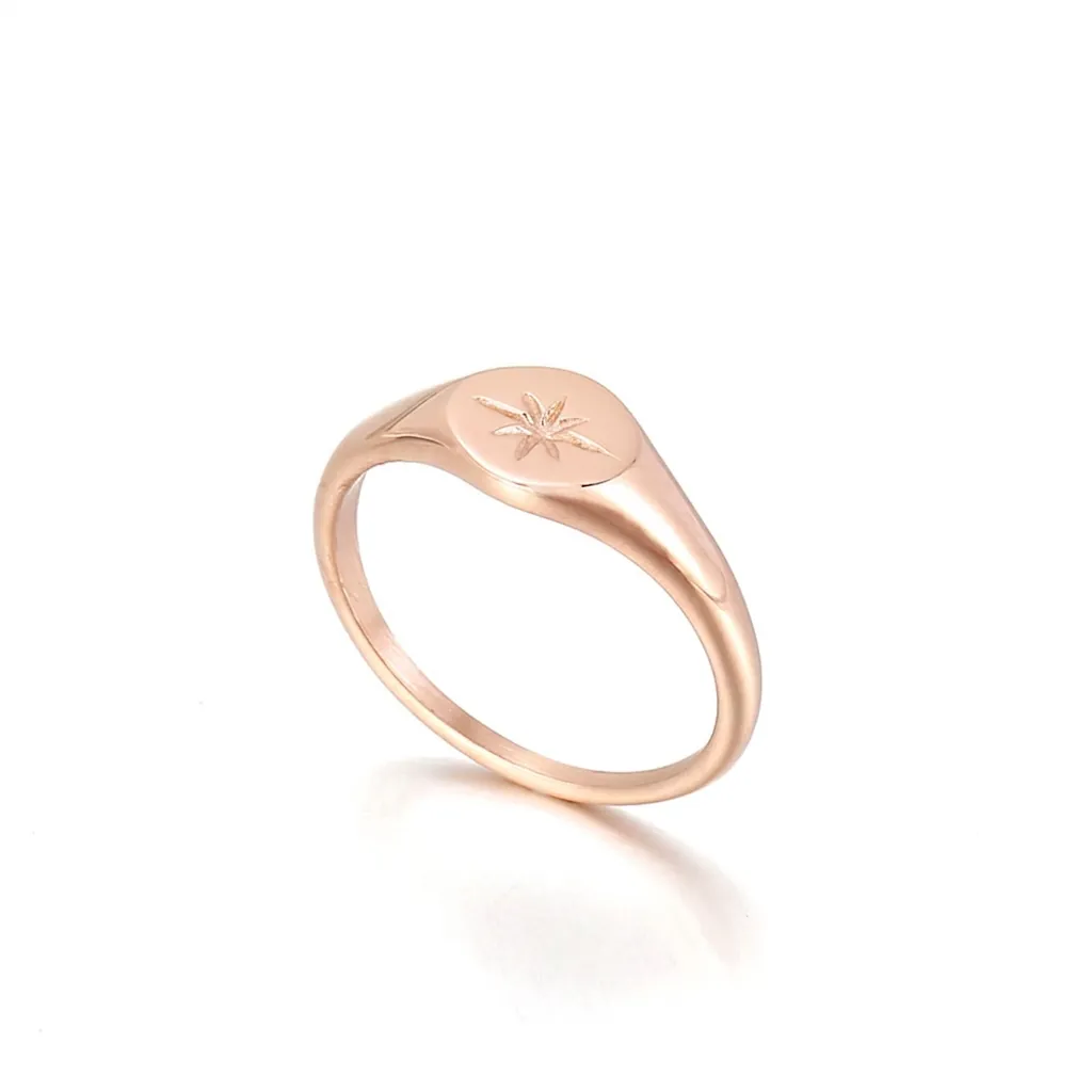 Signet Ring Stainless Steel Engraved North Star Minimalist Polished Vintage Punk Style Jewelry For Men Women