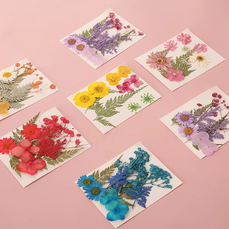 Gepresste Trockenblumen Material Natürliche Dehydrierte Pflanzen Für DIY Lesezeichen Harz Handwerk Handgefertigtes Zubehör