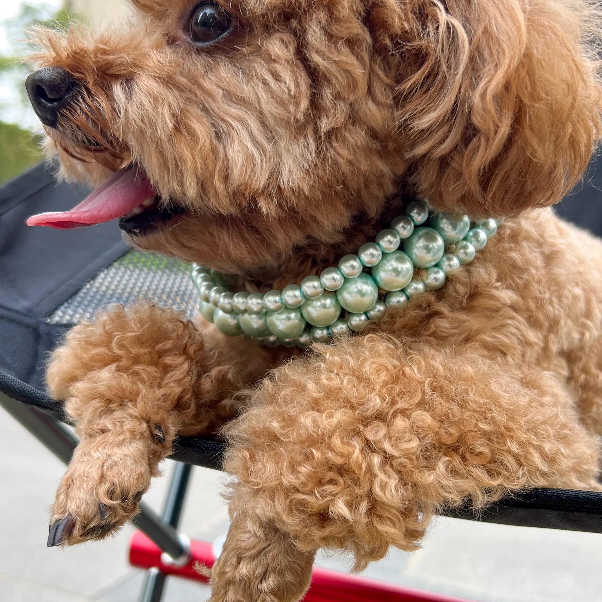 Mehrlagige Künstliche Perlenimitat Tierhalskette Eleganter Verstellbarer Hundehalsband Für Kleine Hunde Katzen Welpen Modezubehör