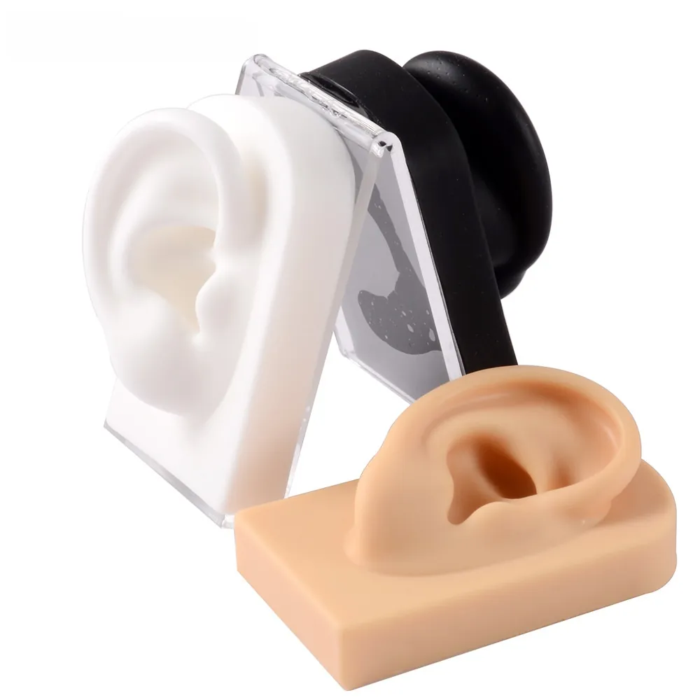 Silicone Ear Model Jewelry Display Piercing Practice Acupuncture Teaching Realistic Soft Medical Grade Acrylic Stand
