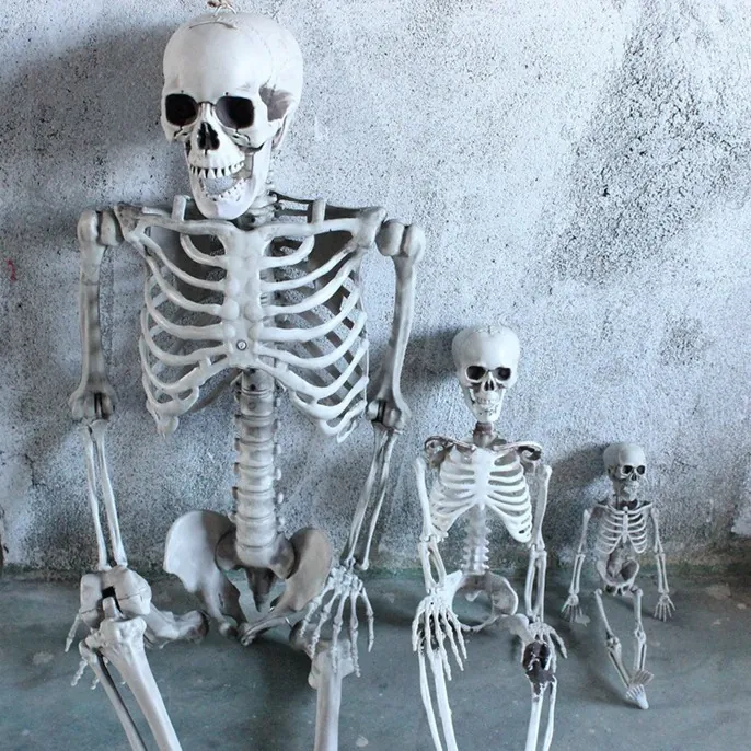 Realistic Life Size Human Skeleton Plastic Movable Joints Halloween Decoration Haunted House Party Prop Creepy Horror