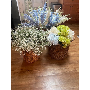 5-star customer review photo by J*****s, image 2 of 2 for Artificial Delphinium Flower Satin Cloth Long Stem For Decoration