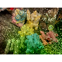 5-star customer review photo by L*****r, image 1 of 1 for Plush Squeaky Dog Toys Soft Bite Resistant Interactive Chew