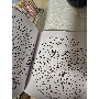 4.6-star customer review photo by L*****r, image 2 of 2 for Dual Color Bath Ball PE Mesh Body Scrubber For Shower