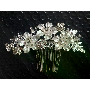4.6-sterren klantrecensie foto door K*****n, afbeelding 2 van 6 voor Vintage Vlinder Bloem Dier Broche Speld Voor Dames