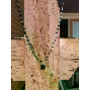 5-star customer review photo by M*****s, image 1 of 2 for Natural Gemstone Round Loose Beads For DIY Jewelry Making