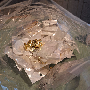 5-Sterne-Kundenbewertungsfoto von L*****l, Bild 1 von 2 für 18K Vergoldeter Edelstahl Fünf Blättrige Blume Schmuckset