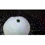 5-star customer review photo by E*****Z, image 5 of 12 for Round Hearts And Arrows Cut Moissanite Loose Stone With GRA