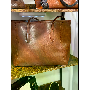 5-star customer review photo by C*****o, image 1 of 1 for Women Vintage Large Capacity PU Leather Tote Bag Shoulder Bag
