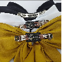 Avis client 5-étoile, photo par H*****u, image 2 de 6 pour Barrette à Cheveux Nœud en Satin Surdimensionné Avec Longs Rubans
