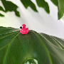 5-star customer review photo by L*****s, image 1 of 1 for Luminous Resin Caterpillar Figurines For Garden Decor