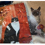 Recensione cliente con 5 stelle, foto di B*****h, immagine 1 di 1 per Orecchini a Lobo Impronta di Gatto in Acciaio Inossidabile
