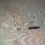 5-star customer review photo by L*****l, image 1 of 2 for Waterdrop Open Ring Stainless Steel Geometric Jewelry For Women