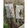 5-star customer review photo by N*****a, image 2 of 2 for Fashion Women Leaf Bracelet Watch With Sliding Clasp