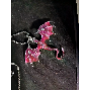4-star customer review photo by B*****l, image 3 of 4 for Retro Flying Dragon Jewelry Alloy Enamel Brooch Necklace Accessory