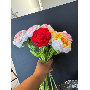5-star customer review photo by s*****z, image 3 of 9 for Handmade Crochet Keychain Fruit Flower Animal Bag Charm