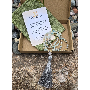5-star customer review photo by S*****n, image 2 of 3 for Natural Stone Round Loose Beads For DIY Jewelry Making