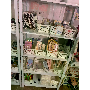 5-Sterne Foto von J*****z, Bild 1 von 1, zu Runder Stifthalter Faltbar DIY Montage Cartoon Schreibtisch-Organizer