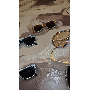 4.3-star customer review photo by O*****n, image 2 of 2 for Square Metal Sunglasses with Rhinestone Wood Grain Temples