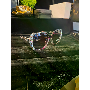 5-star customer review photo by C*****l, image 1 of 1 for Rimless Metal Butterfly Sunglasses with Rhinestones For Women