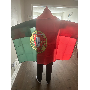 5-star customer review photo by E*****a, image 4 of 4 for Polyester National Flag Cape Hooded Shawl With Sleeves