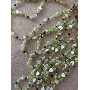 Recensione cliente con 4.7 stelle, foto di B*****h, immagine 1 di 1 per Perle di Vetro Sfaccettate Multicolore Cristallo AB Per Gioielli