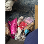 5-star customer review photo by b*****m, image 1 of 1 for Heart Shaped Faux Fur Plush Keychain With Alloy Clasp